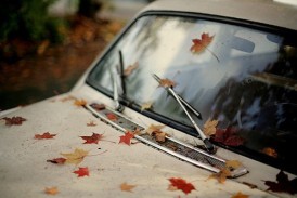 old-car-with-leaves
